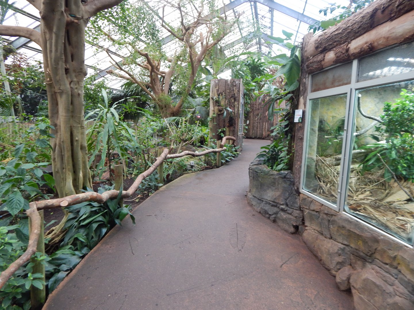 Reptile Tropics 050224