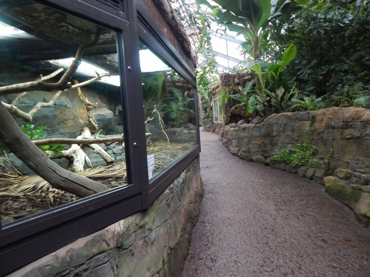 Reptile Tropics 050224