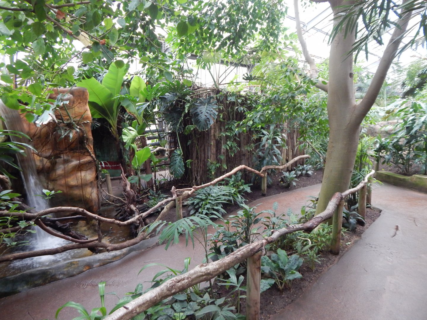 Reptile Tropics 050224