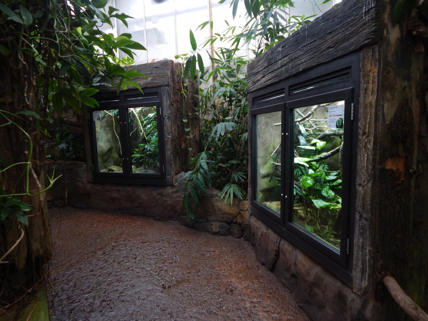 Reptile Tropics 050224