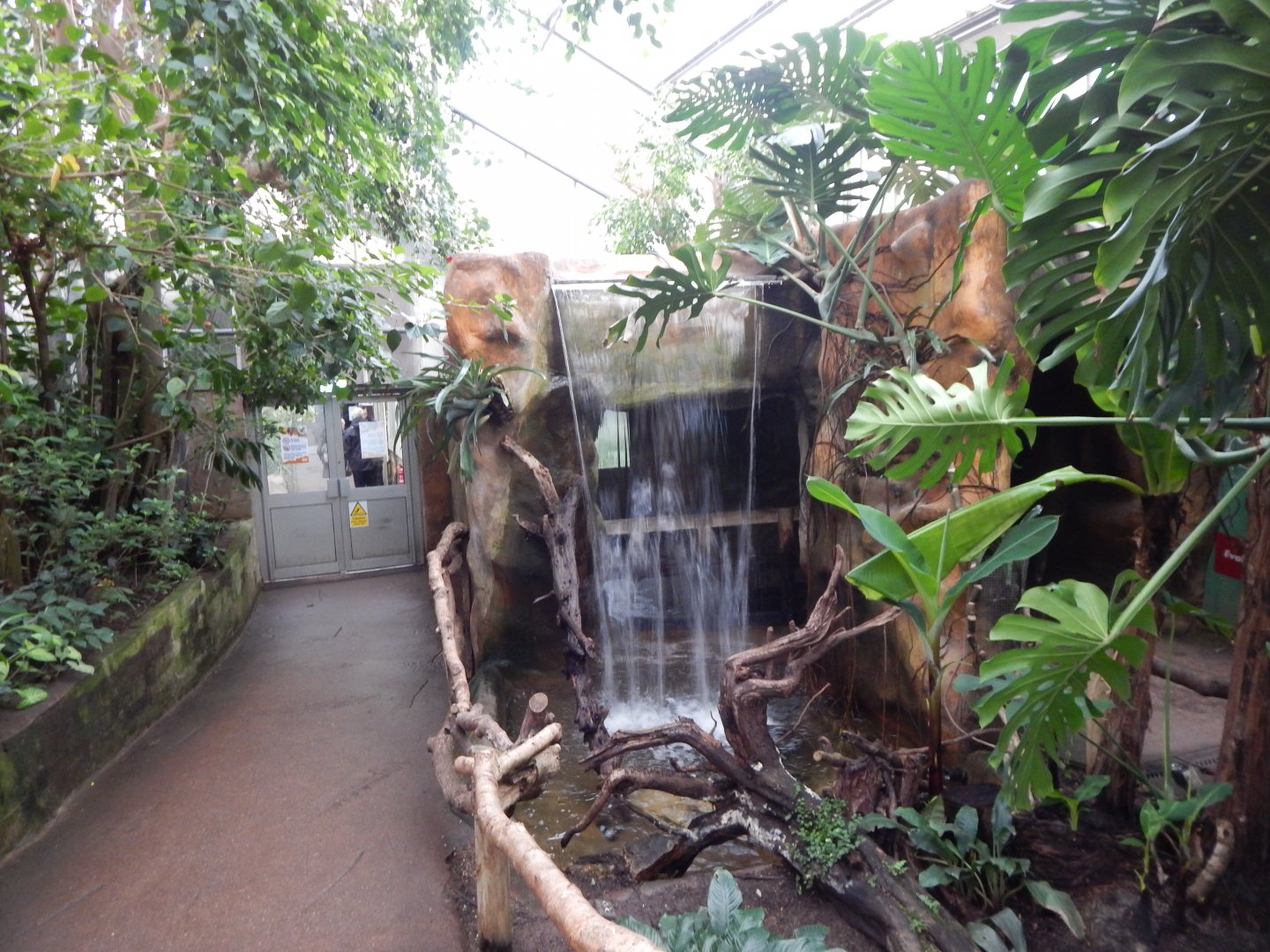 Reptile Tropics 050224