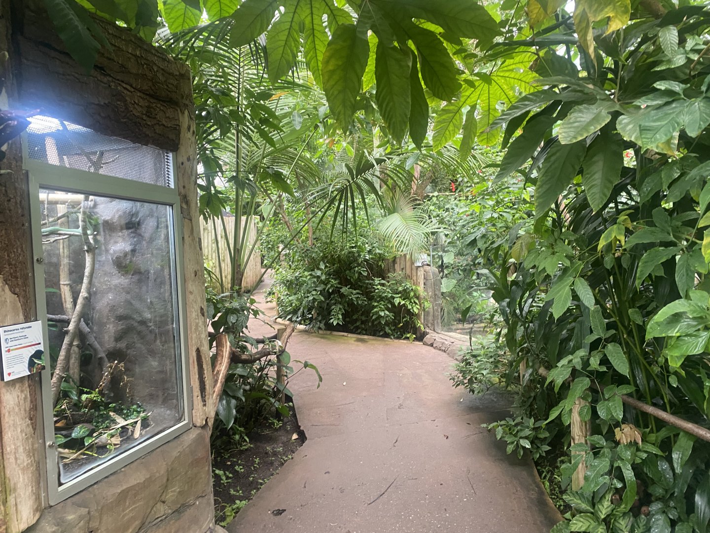 Reptile Tropics 130624