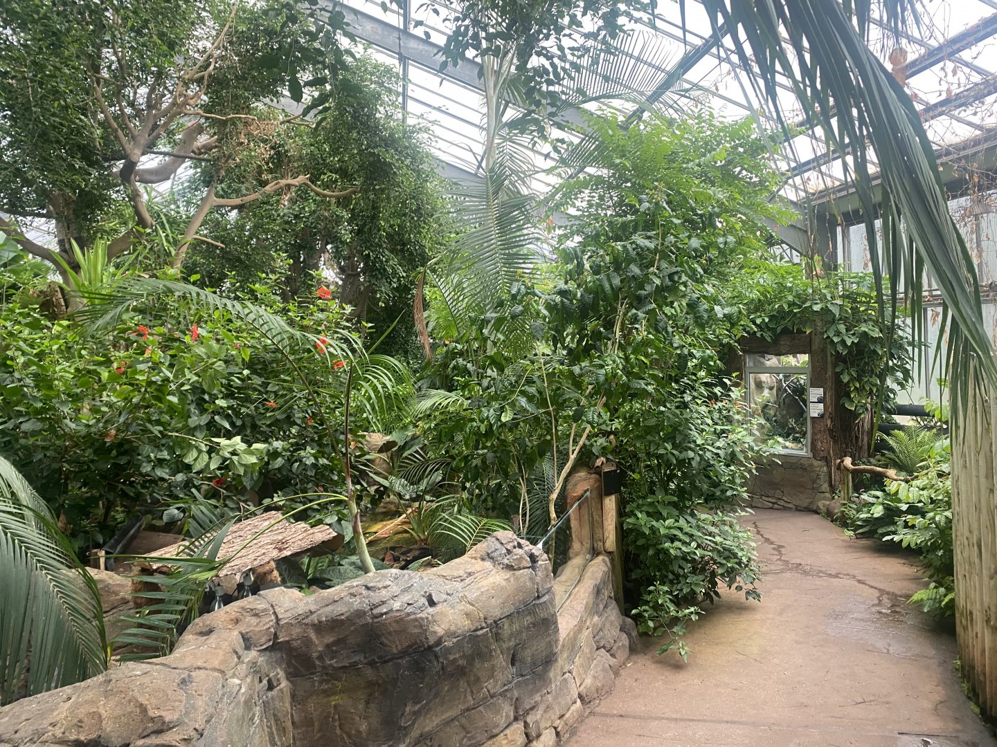 Reptile Tropics 130624