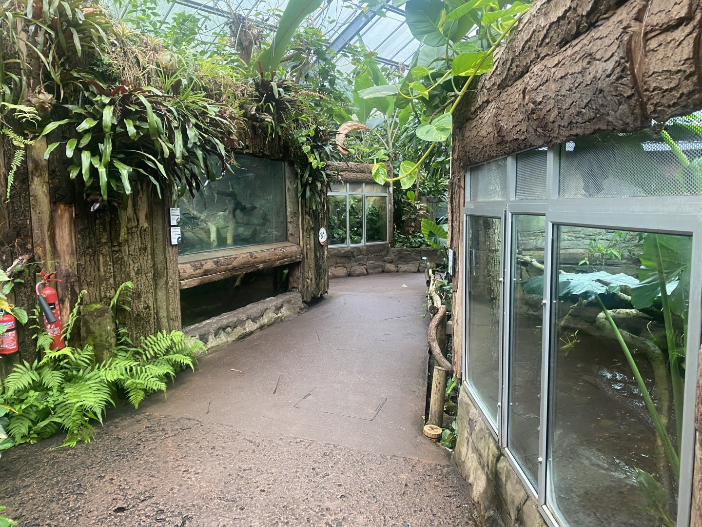 Reptile Tropics 130624