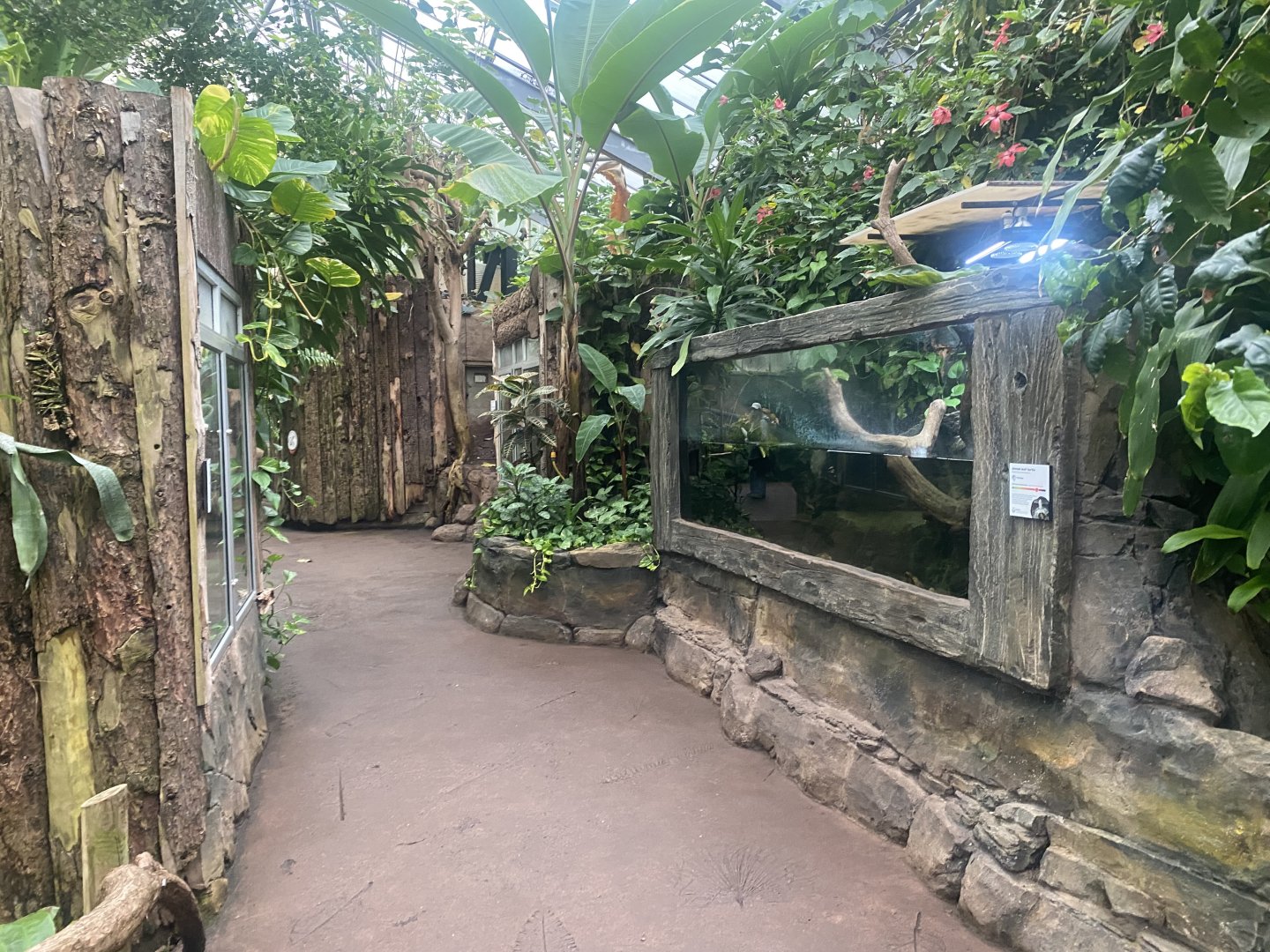 Reptile Tropics 130624