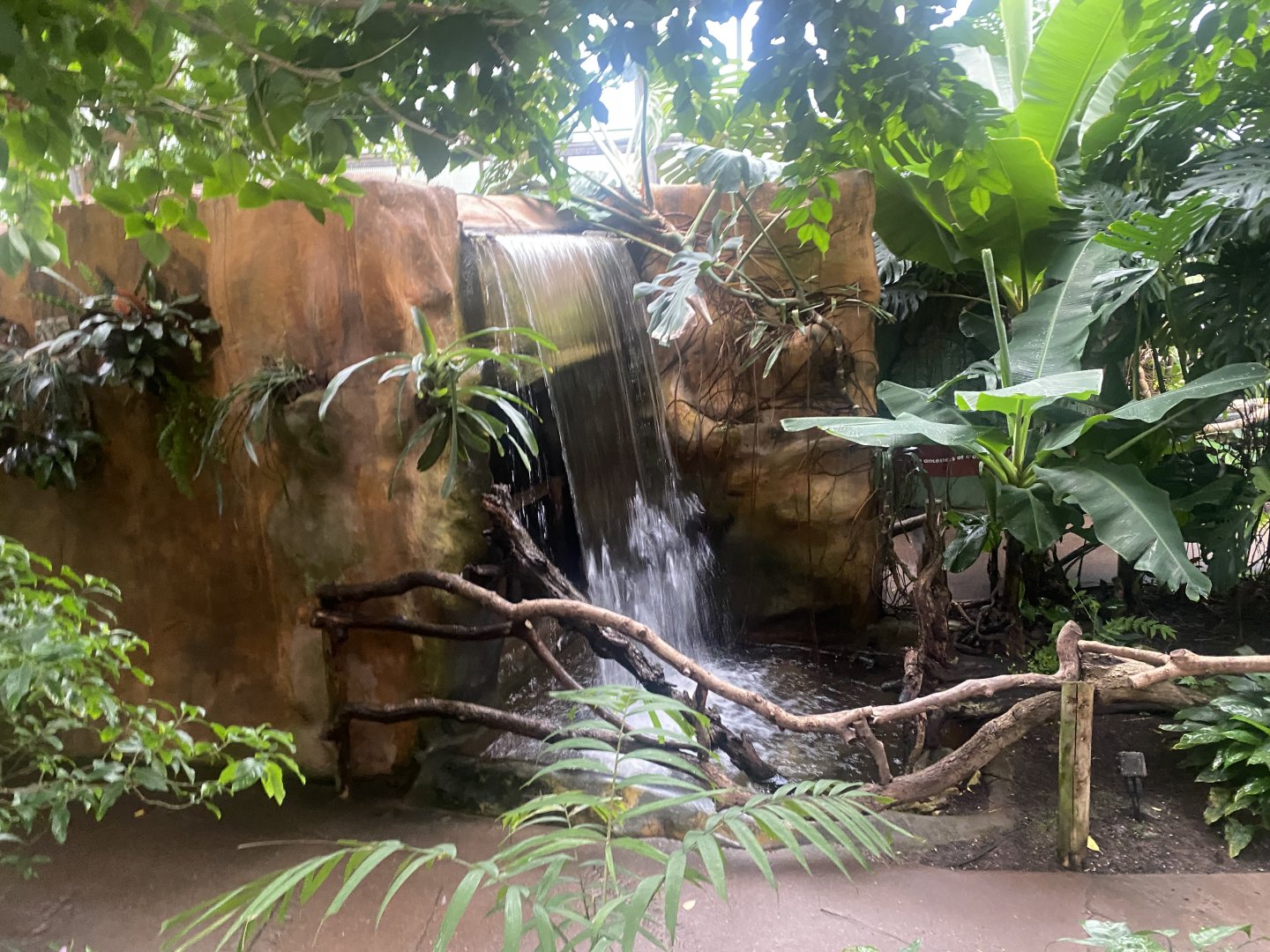 Reptile Tropics 130624