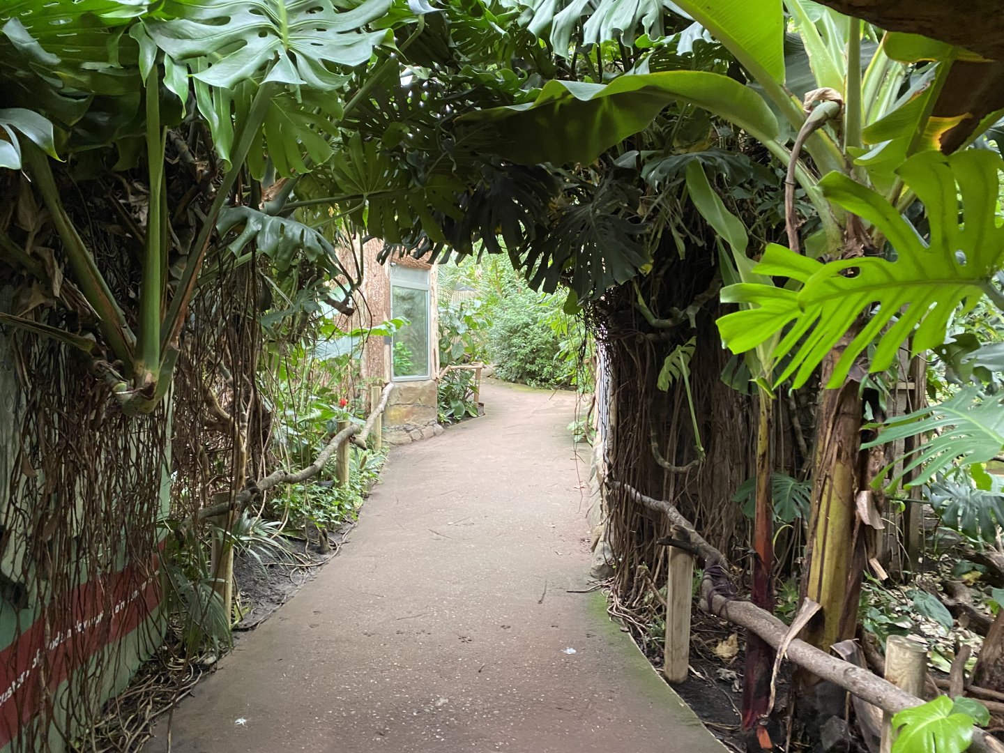 Reptile Tropics 201121