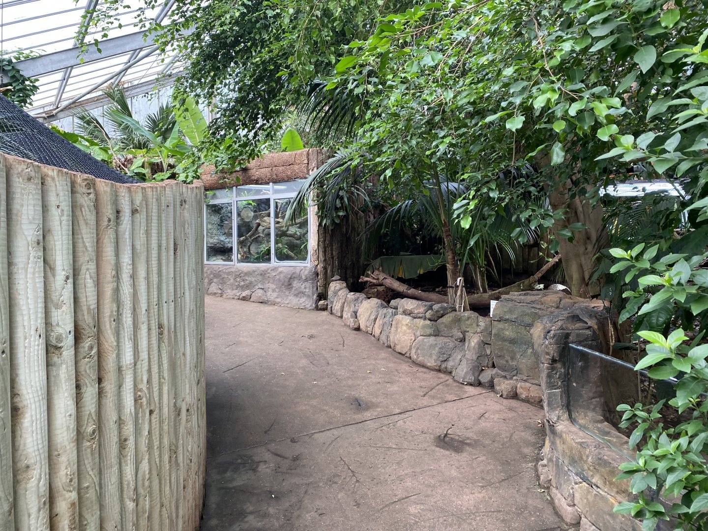 Reptile Tropics 201121