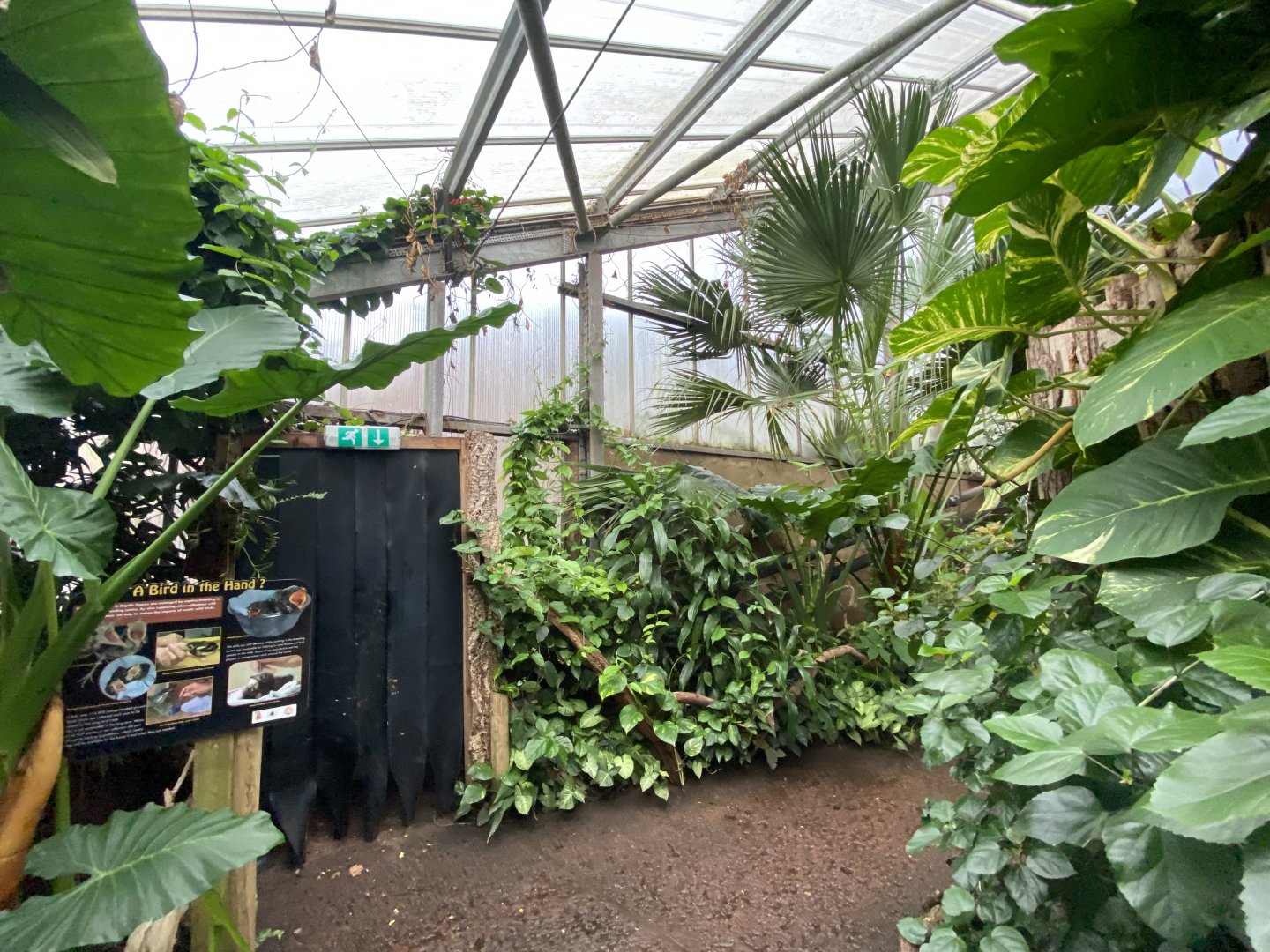 Reptile Tropics 201121