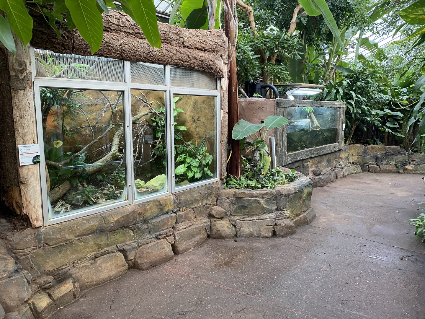 Reptile Tropics 201121