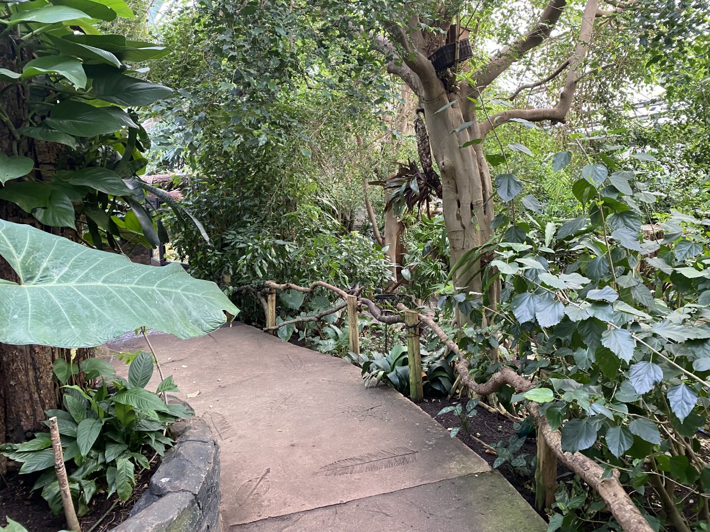 Reptile Tropics 201121