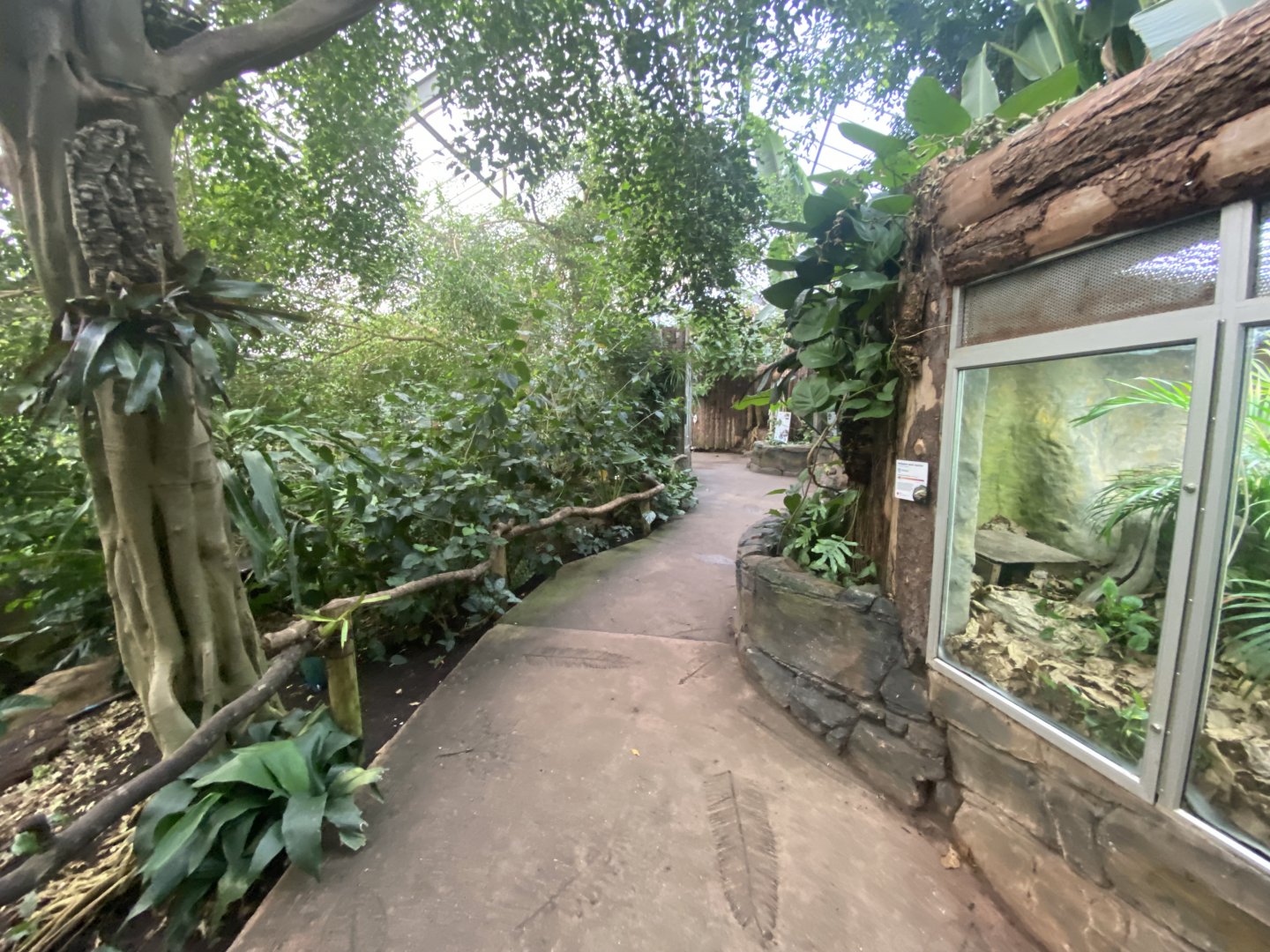 Reptile Tropics 201121