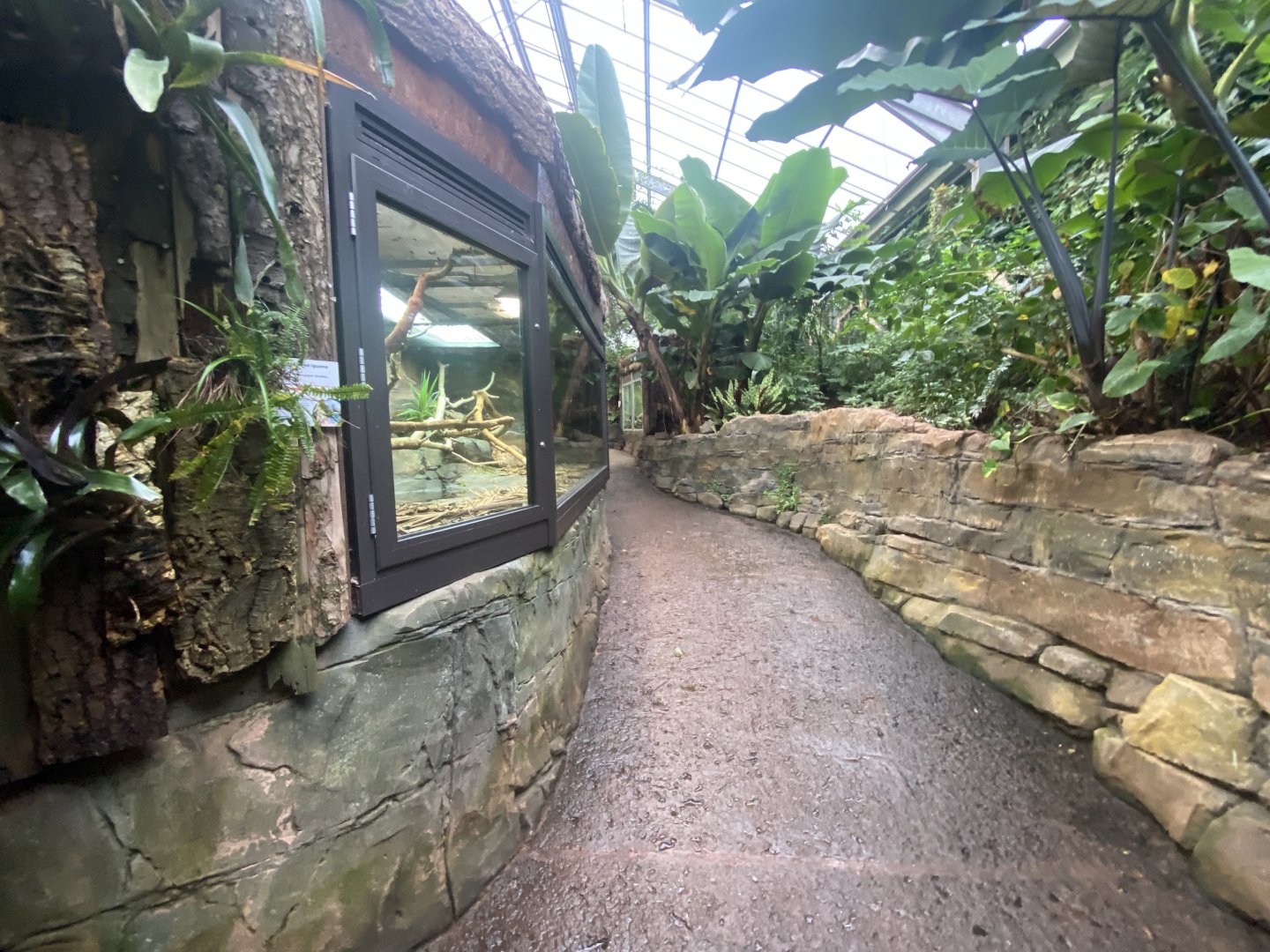 Reptile Tropics 201121