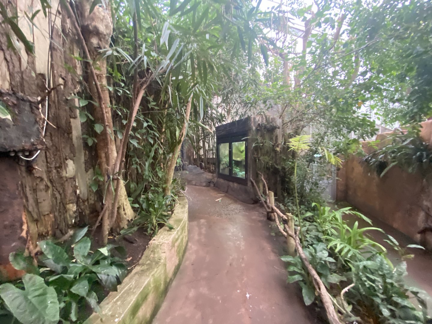 Reptile Tropics 201121