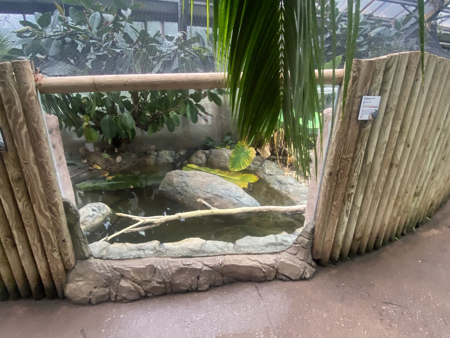 Reptile Tropics - Malaysian giant turtle exhibit 130624