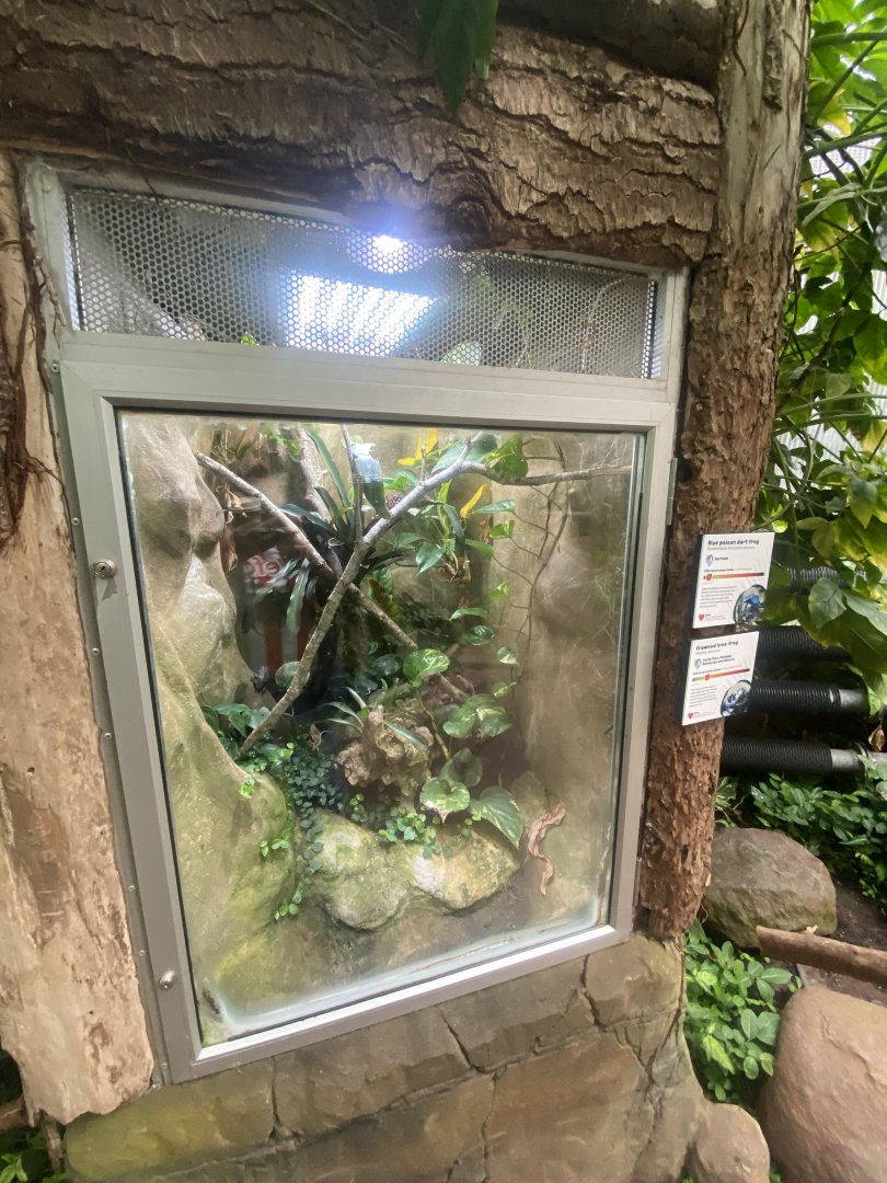 Reptile Tropics - Mixed exhibit 130624