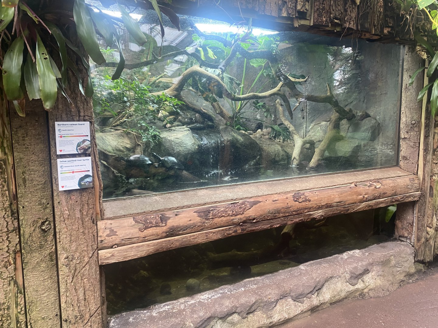 Reptile Tropics - Mixed Exhibit 130624