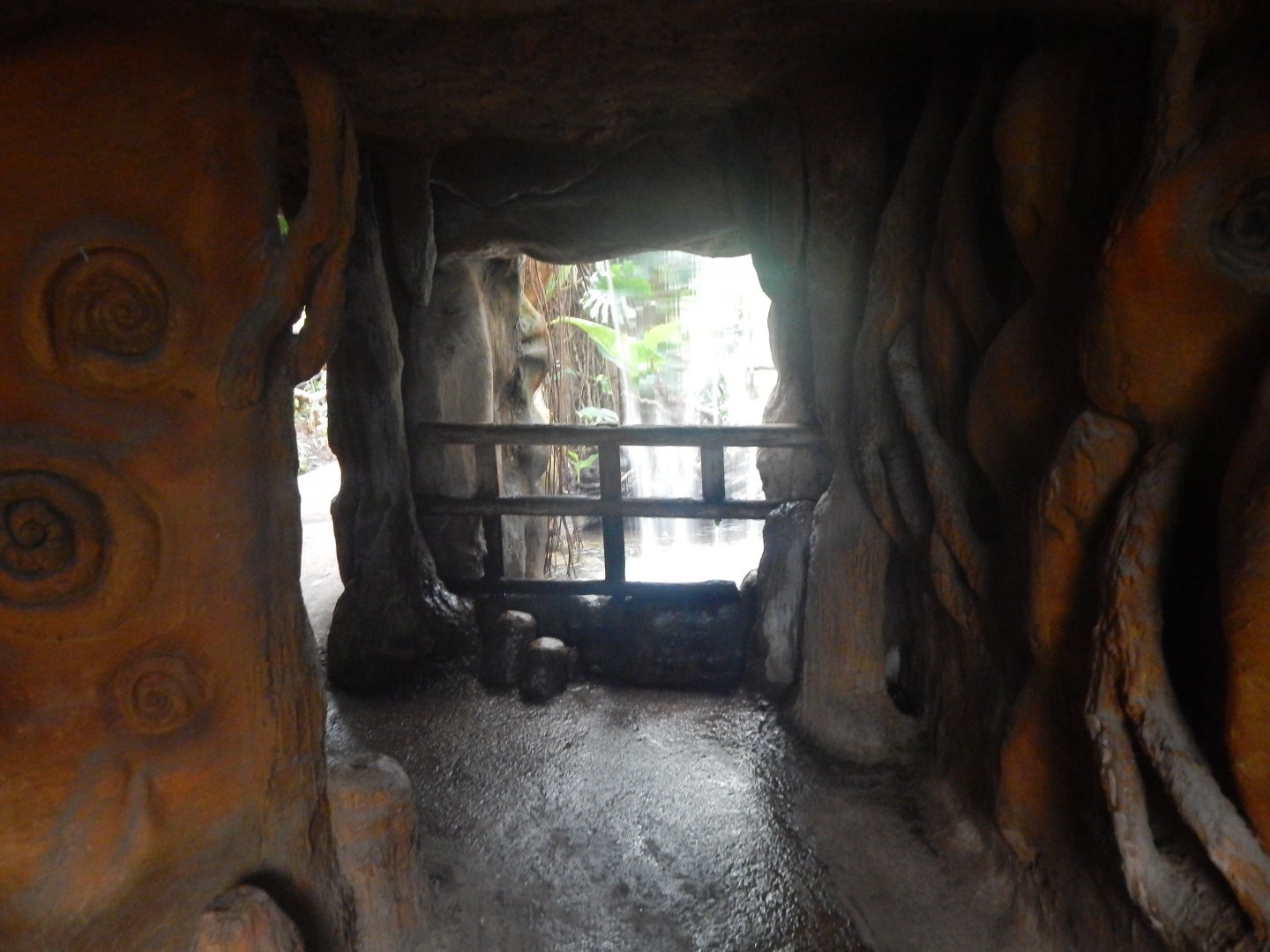 Reptile Tropics - waterfall 050224