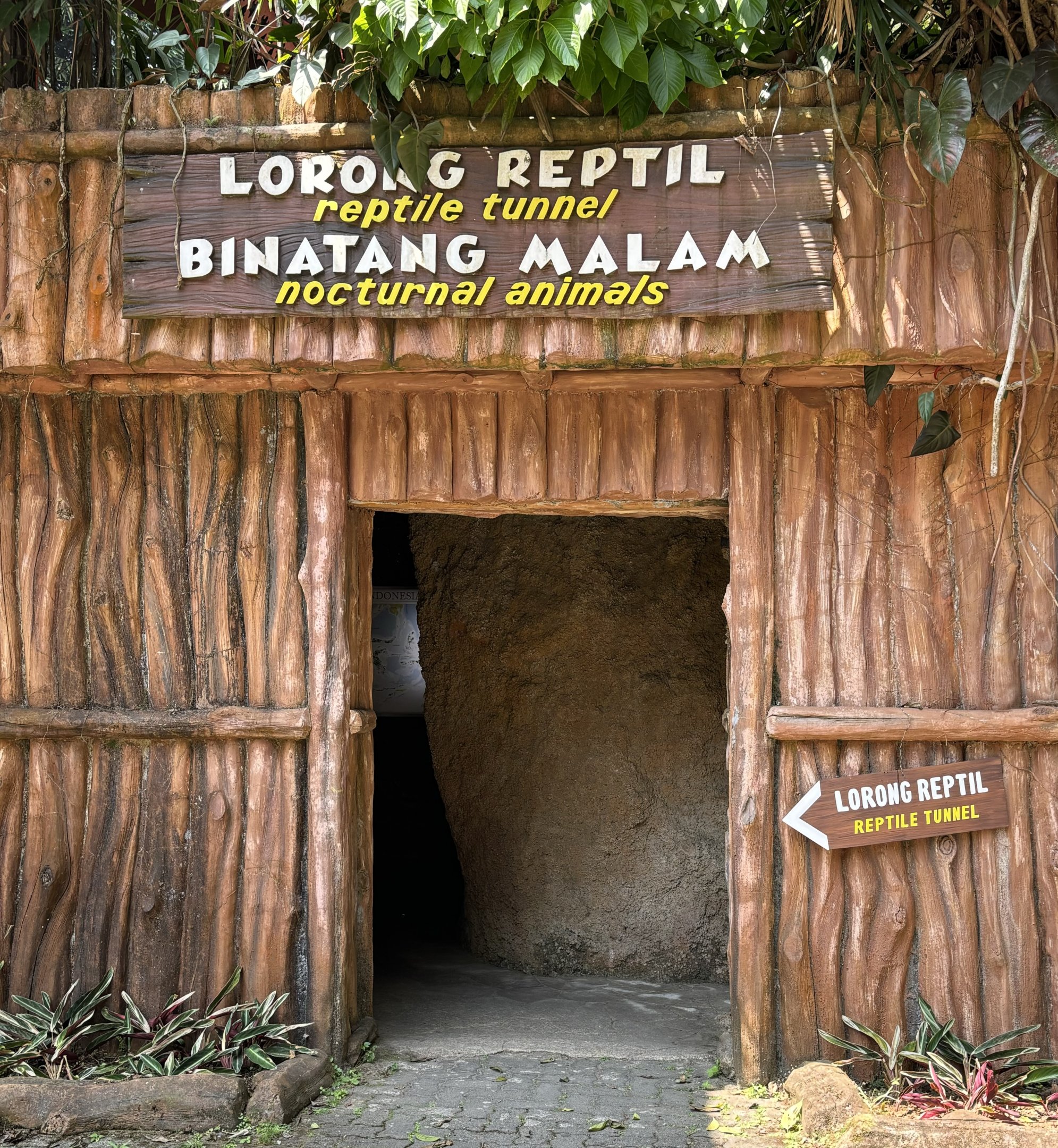 Reptile Tunnel + Nocturnal House