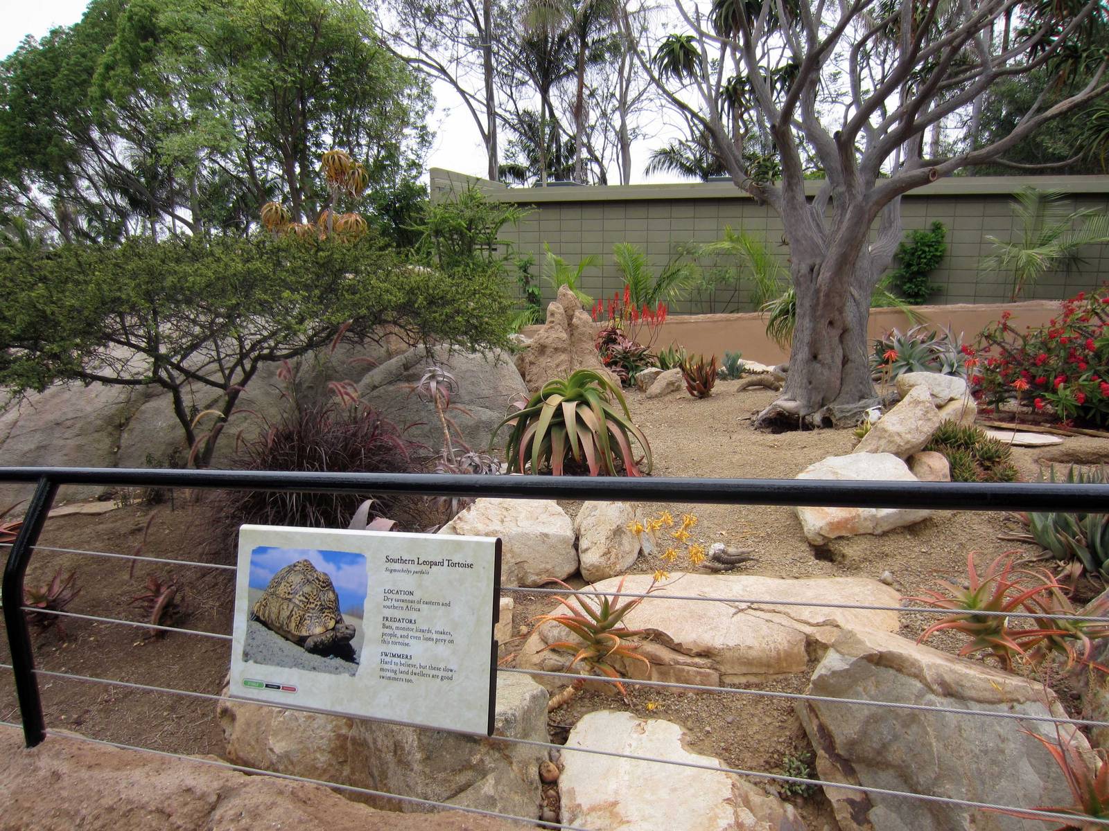 Reptile Walk - Opened July 4th