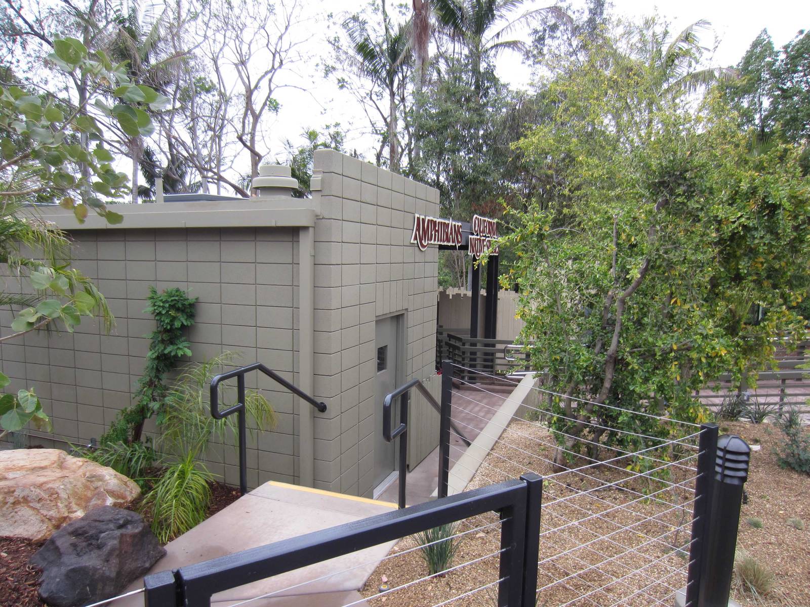 Reptile Walk - Opened July 4th