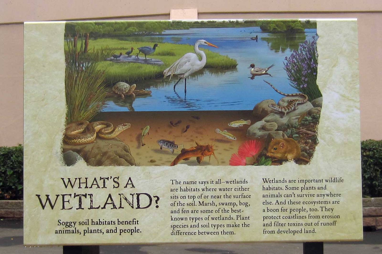 Reptile Walk - Opened July 4th