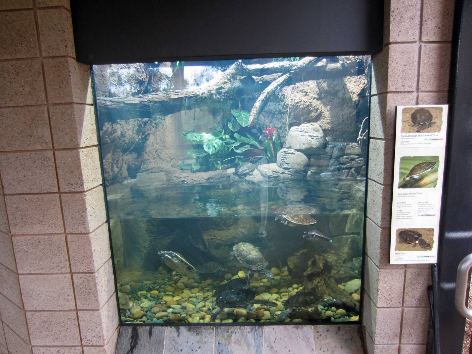 Reptile Walk - Opened July 4th