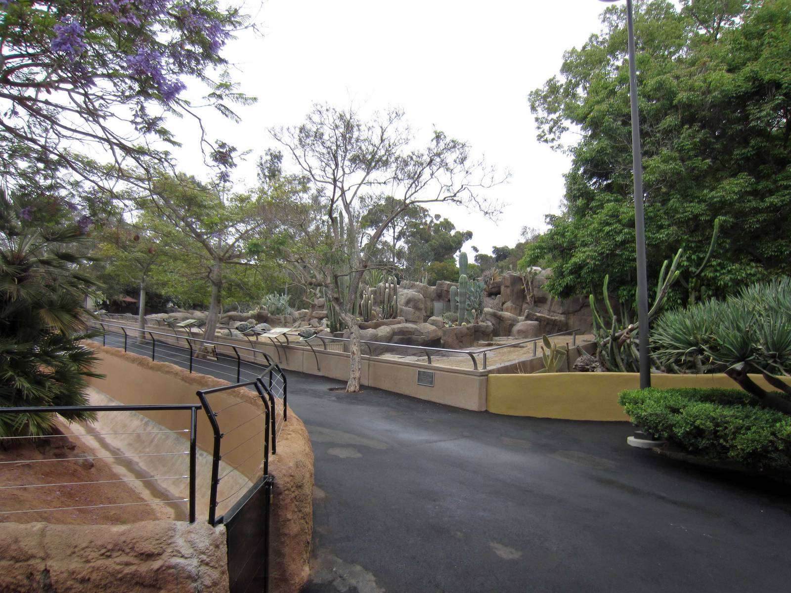 Reptile Walk - Opened July 4th