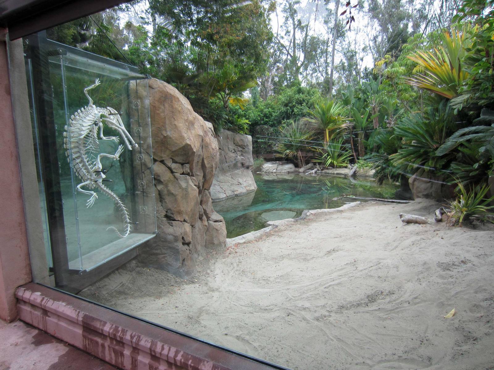 Reptile Walk - Opened July 4th