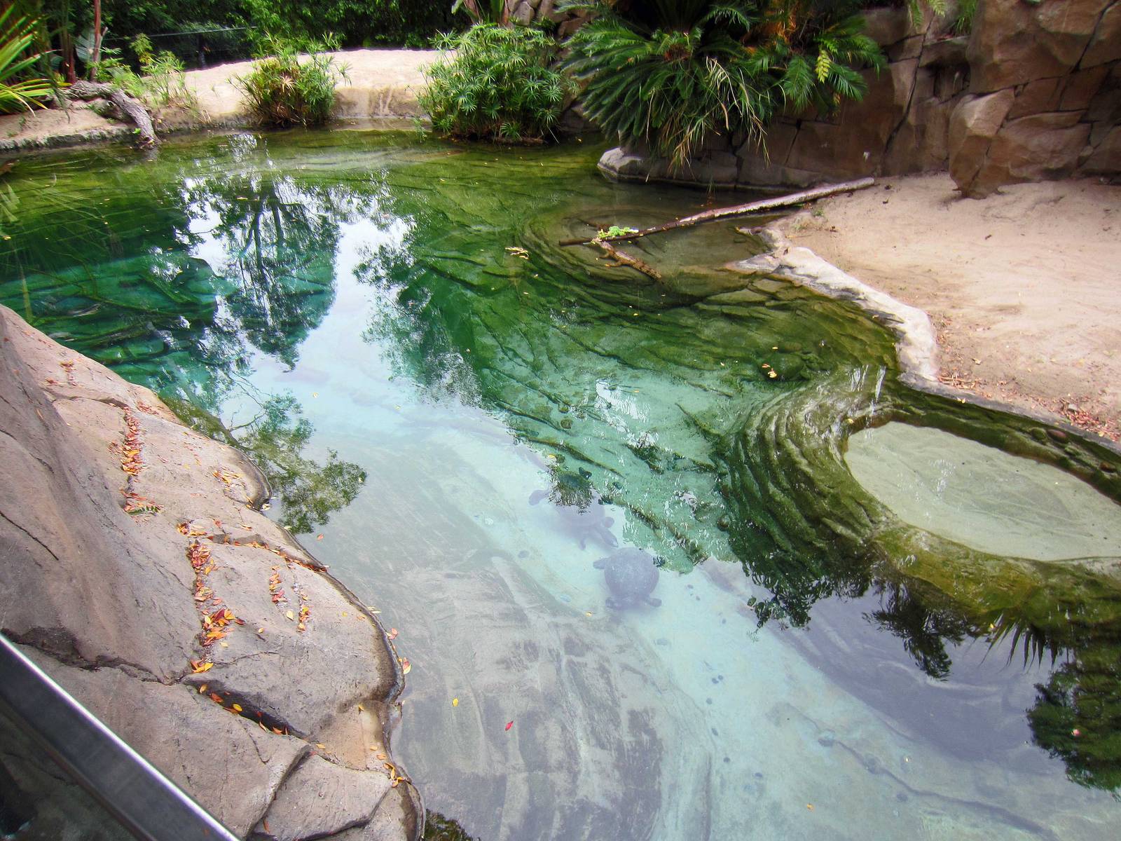 Reptile Walk - Opened July 4th