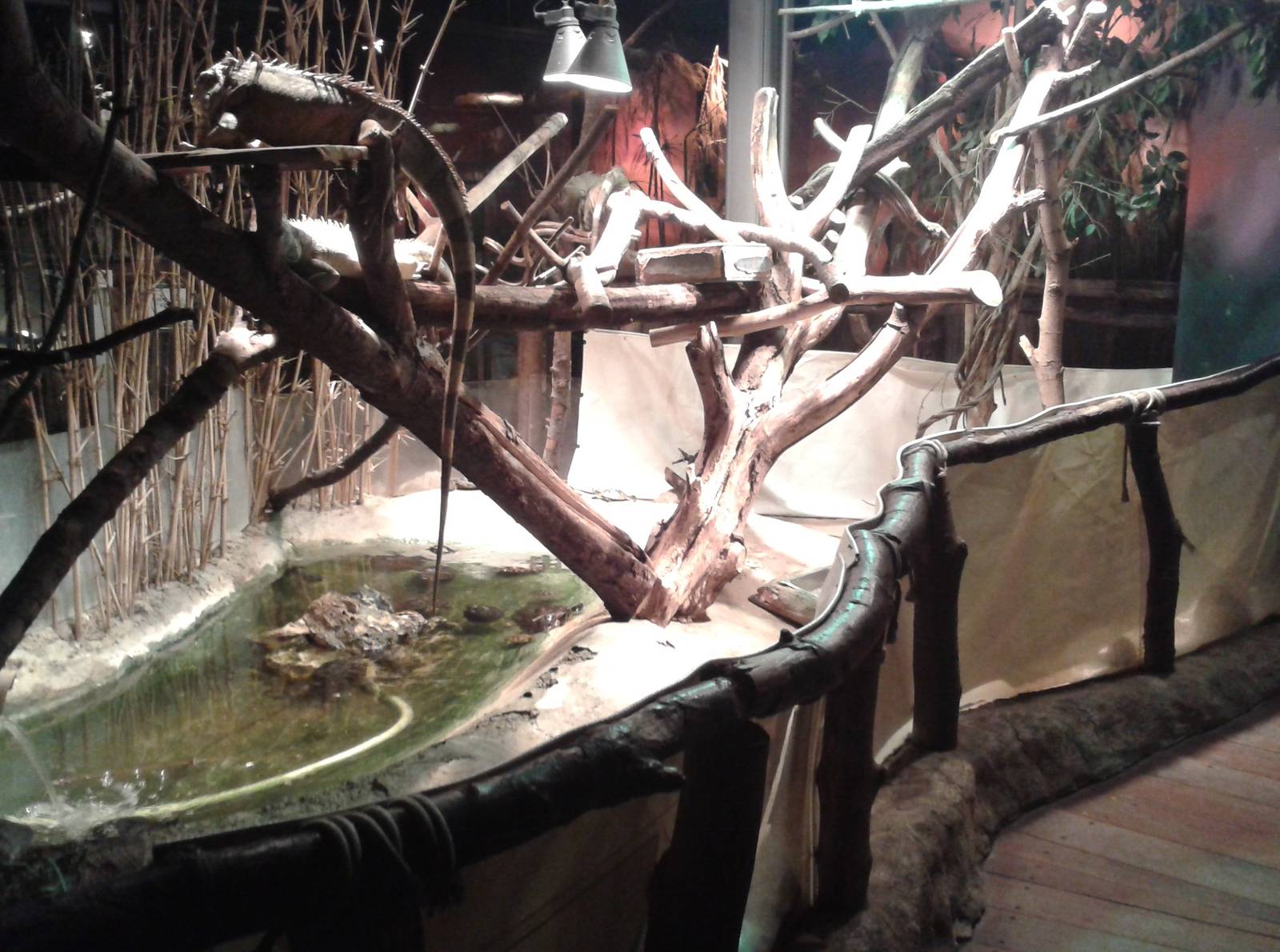 Reptile walk through