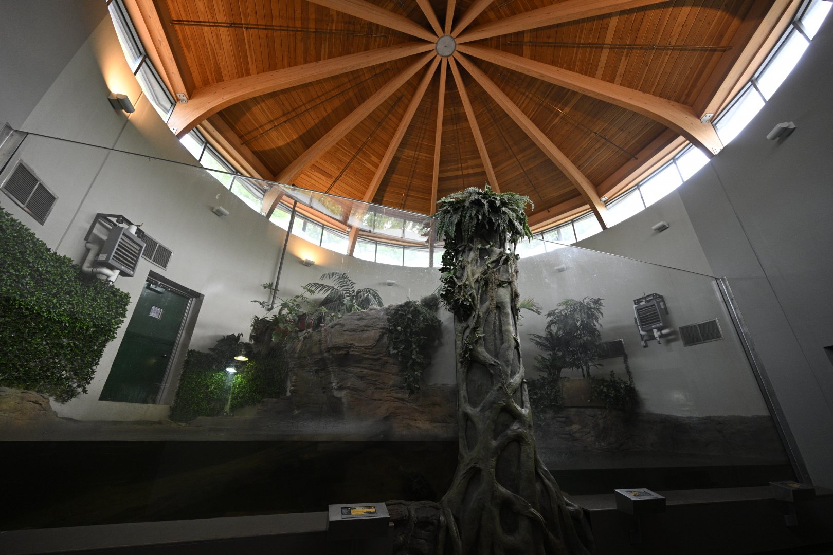 Reptile Wing - Alligator Exhibits