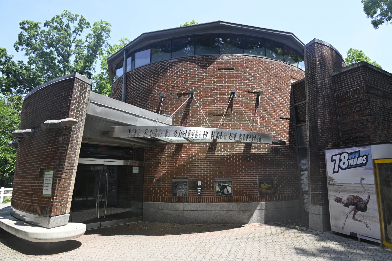 Reptile Wing - Exterior