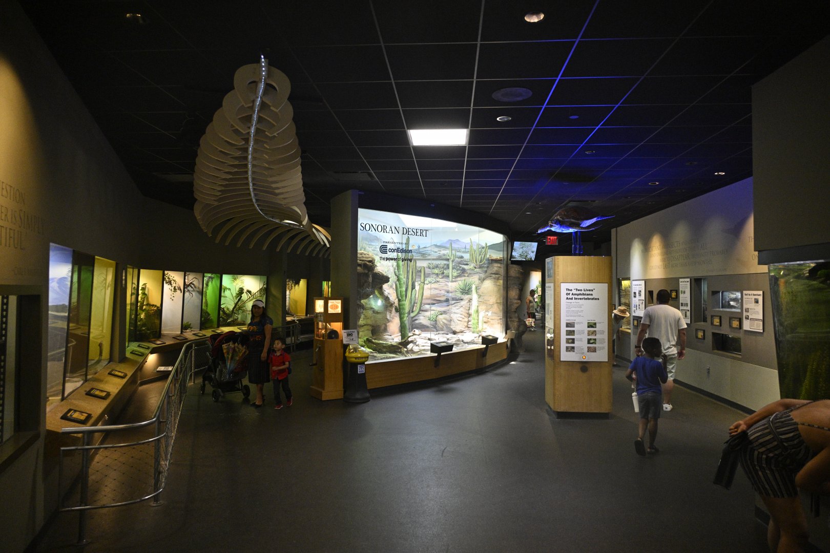 Reptile Wing - Overview