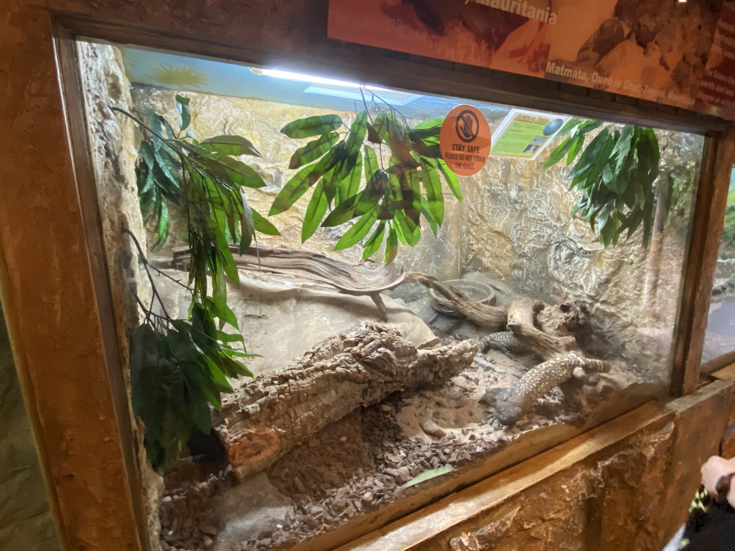 Reptile World - example vivarium 130720