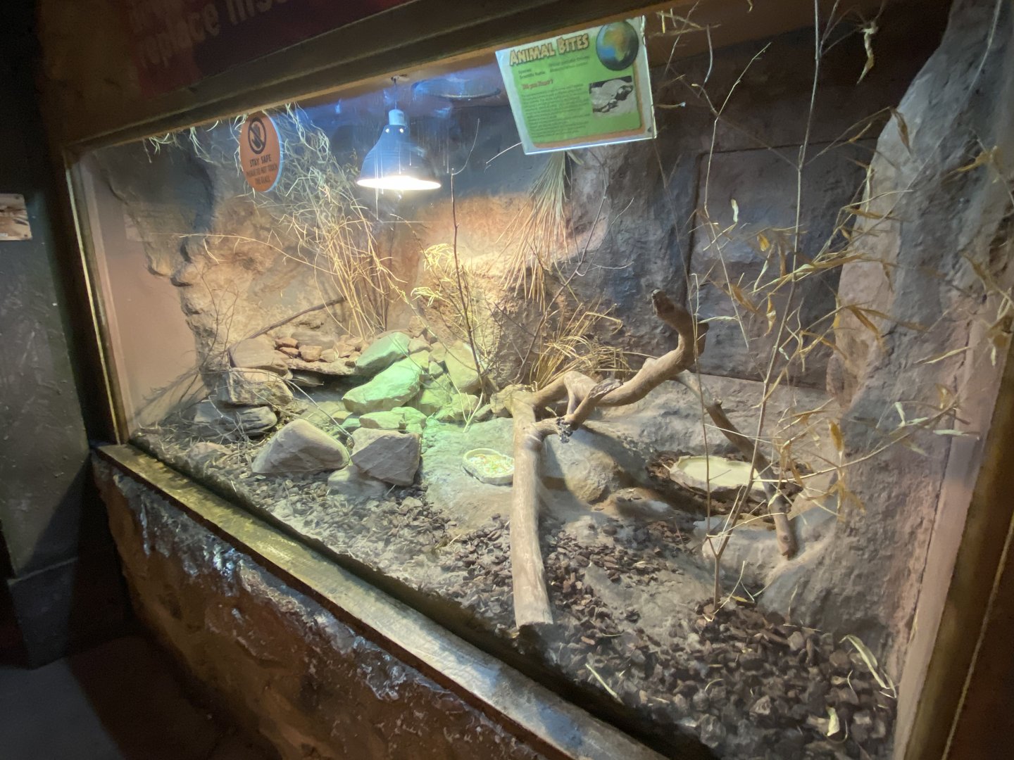 Reptile World - example vivarium 130720