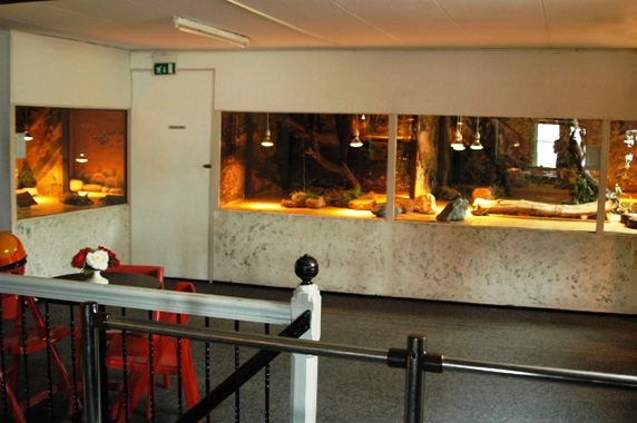 Reptile zoo Iguana in Vlissingen (NL) Attick 2008