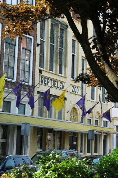 Reptile zoo Iguana in Vlissingen (NL) Entrance 2008