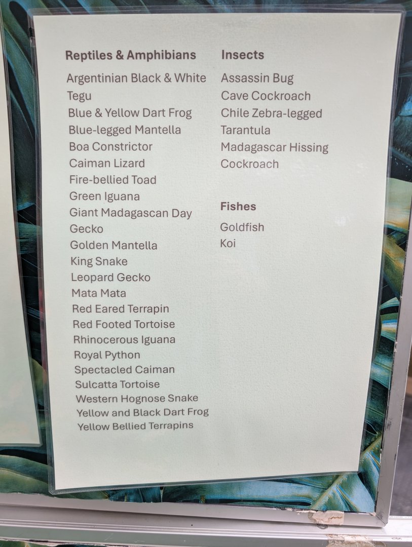 Reptiles Amphibians and Invertebrates Species List