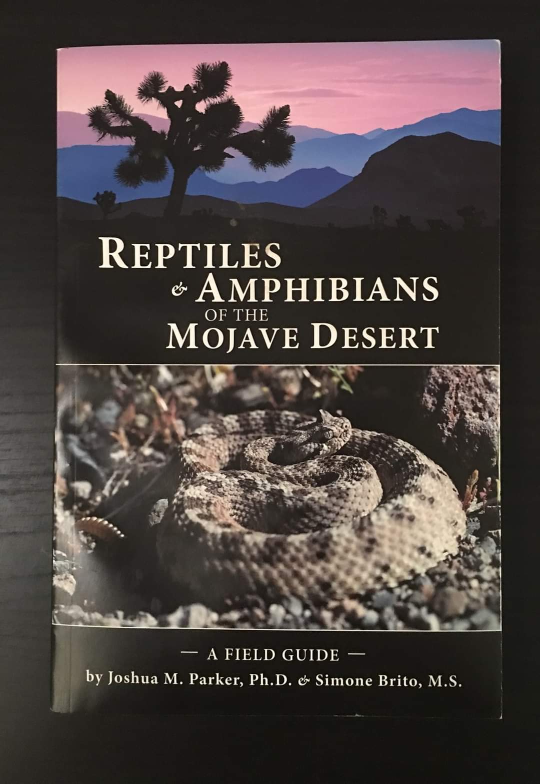 Reptiles & Amphibians of the Mojave Desert: A Field Guide