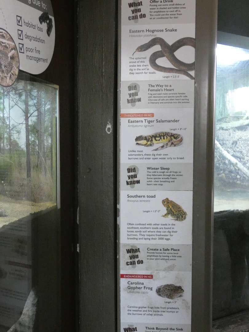 Reptiles and Amphibian Signage