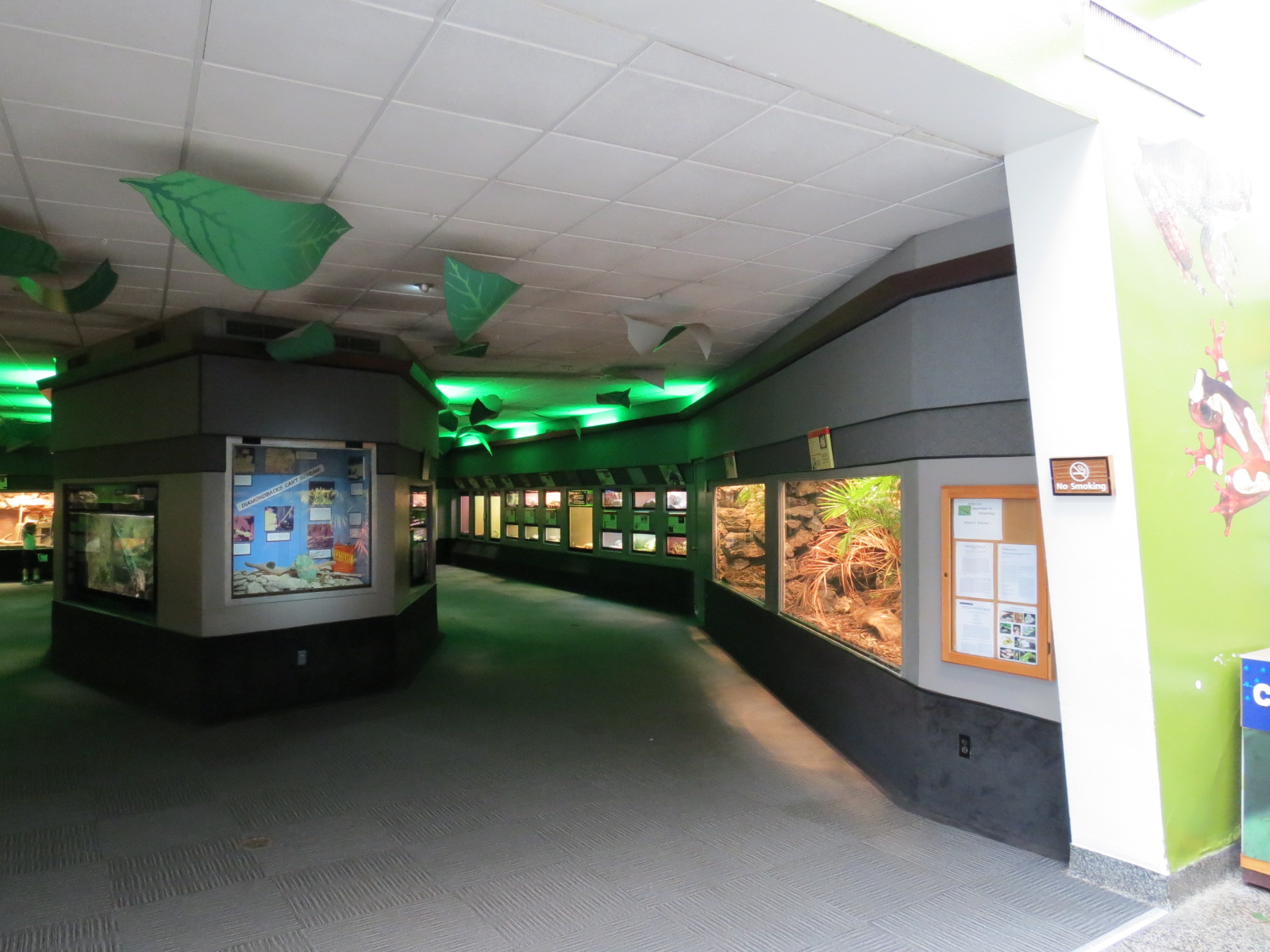 Reptiles and Amphibians - 1st and 2nd Exhibit Halls