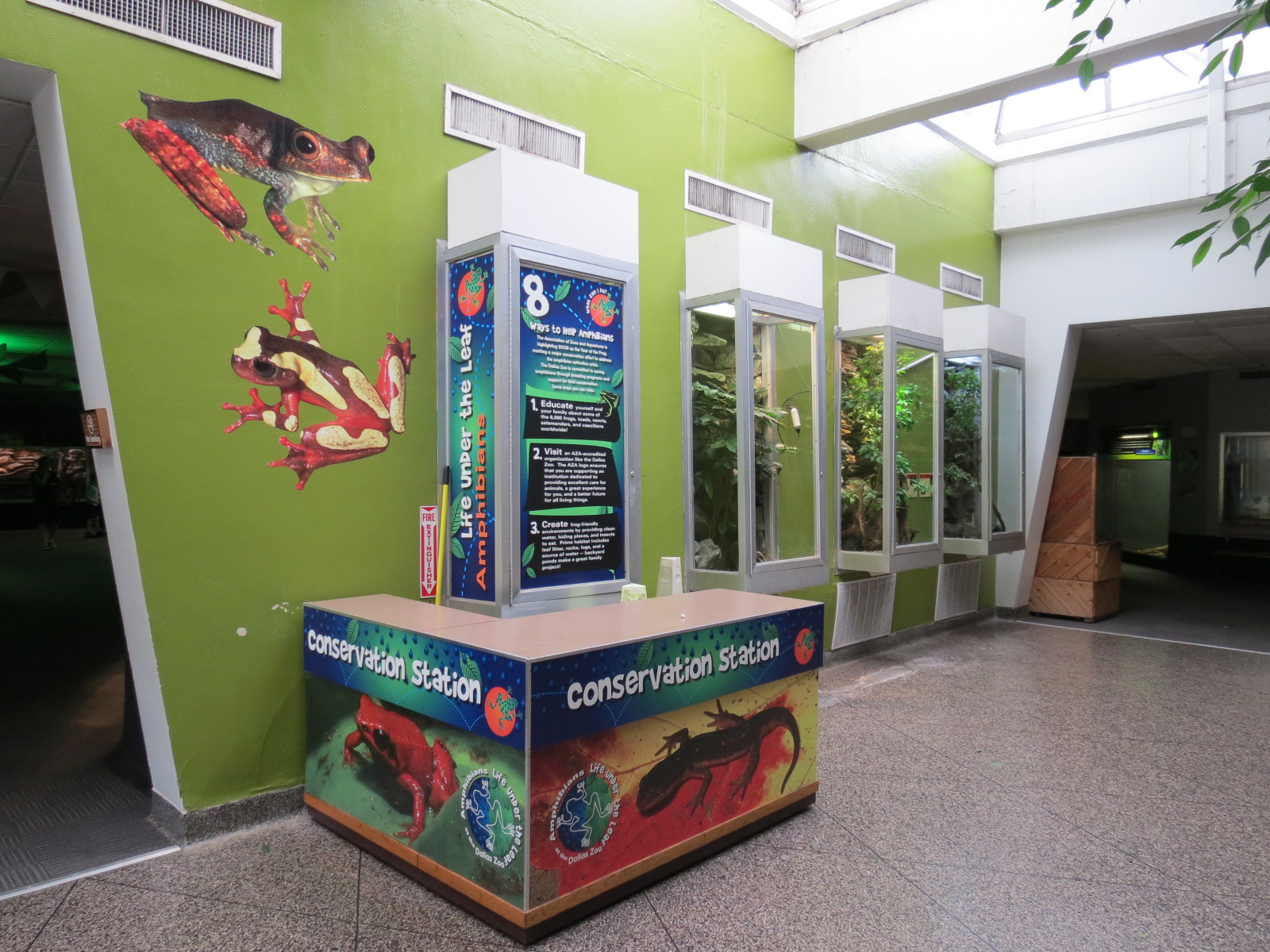 Reptiles and Amphibians - Atrium