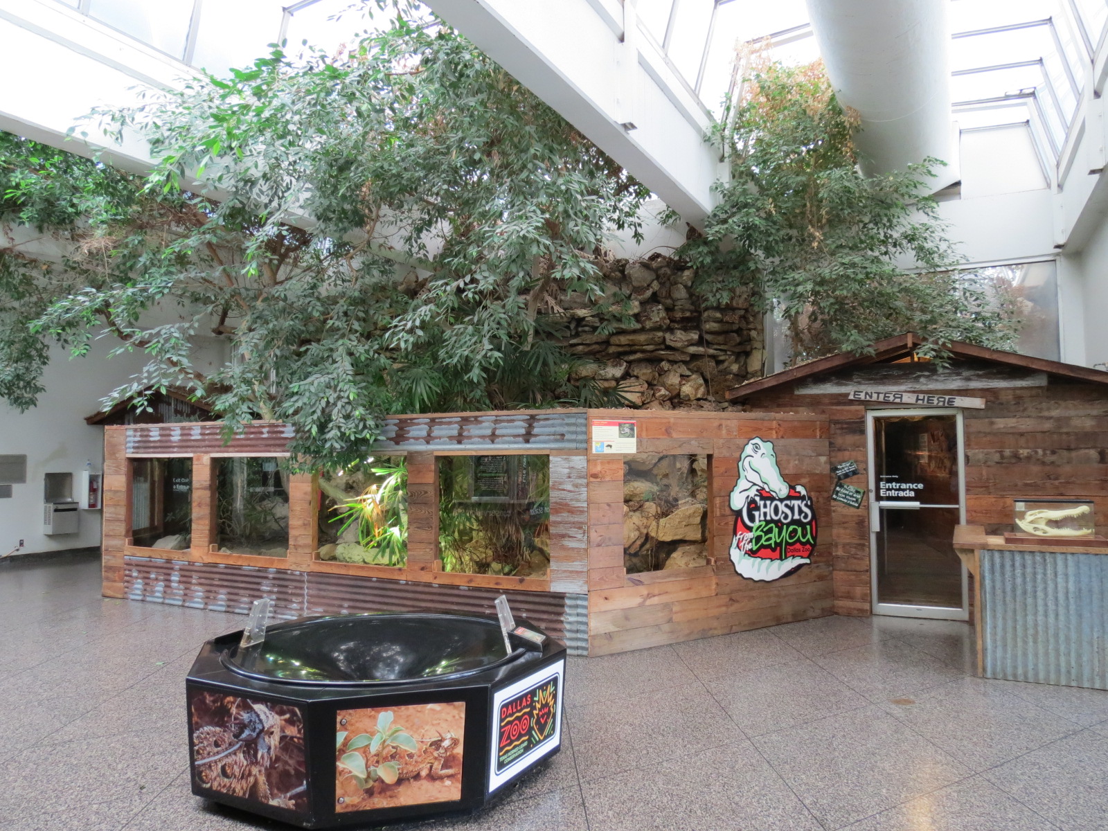 Reptiles and Amphibians - Atrium