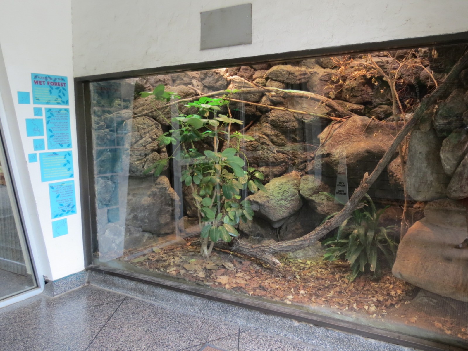 Reptiles and Amphibians - Foyer Exhibit