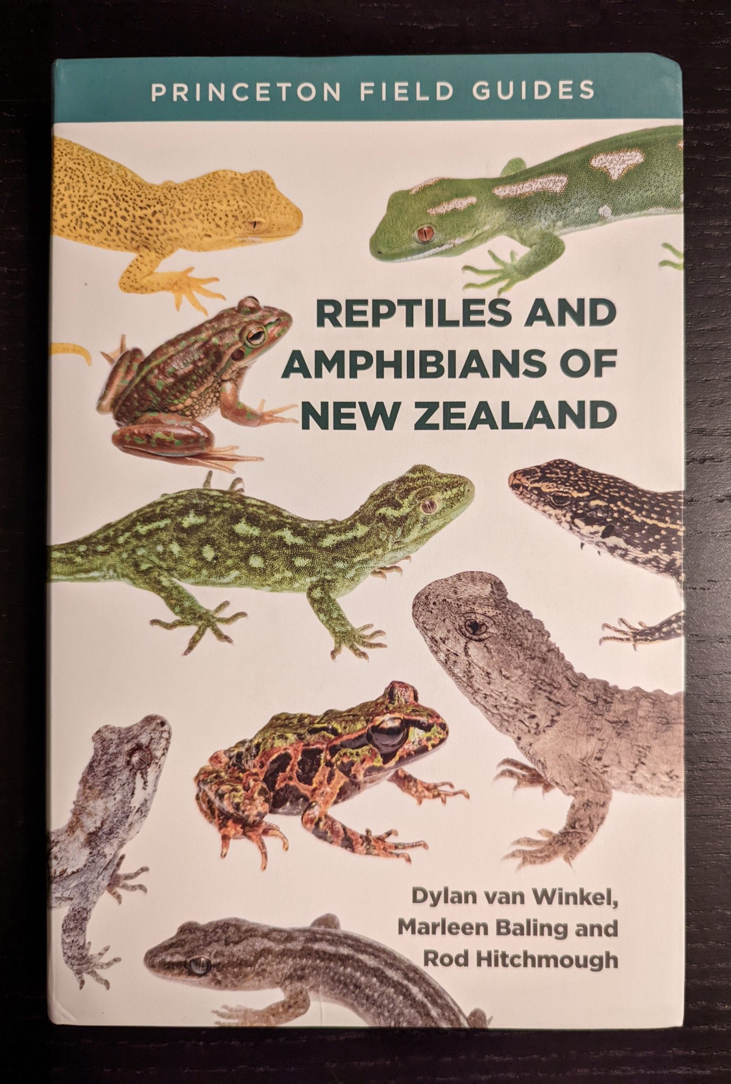 Reptiles and Amphibians of New Zealand