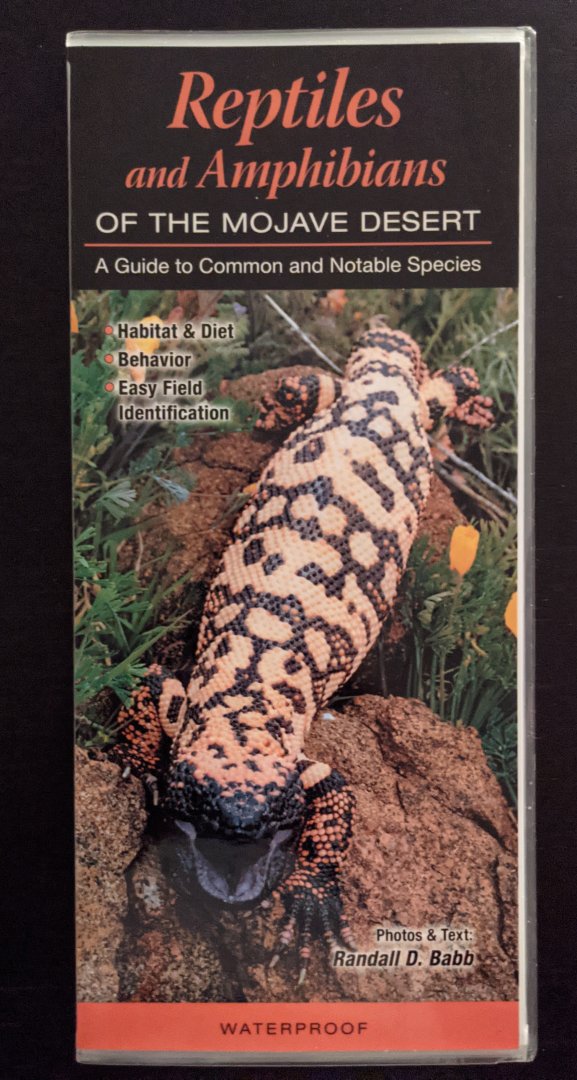 Reptiles and Amphibians of the Mojave Desert