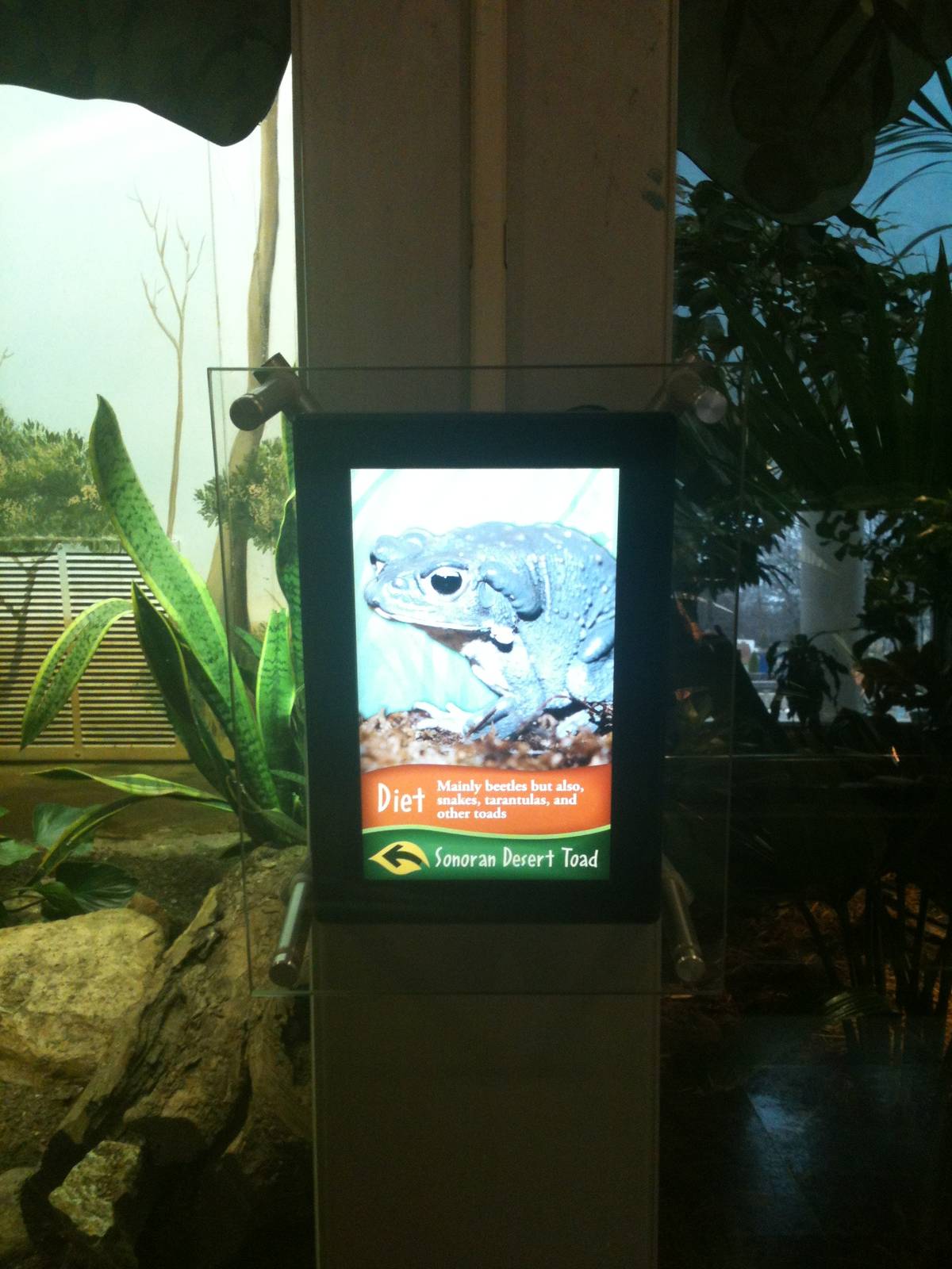 Reptiles & Birds/ formerly the perching bird house.