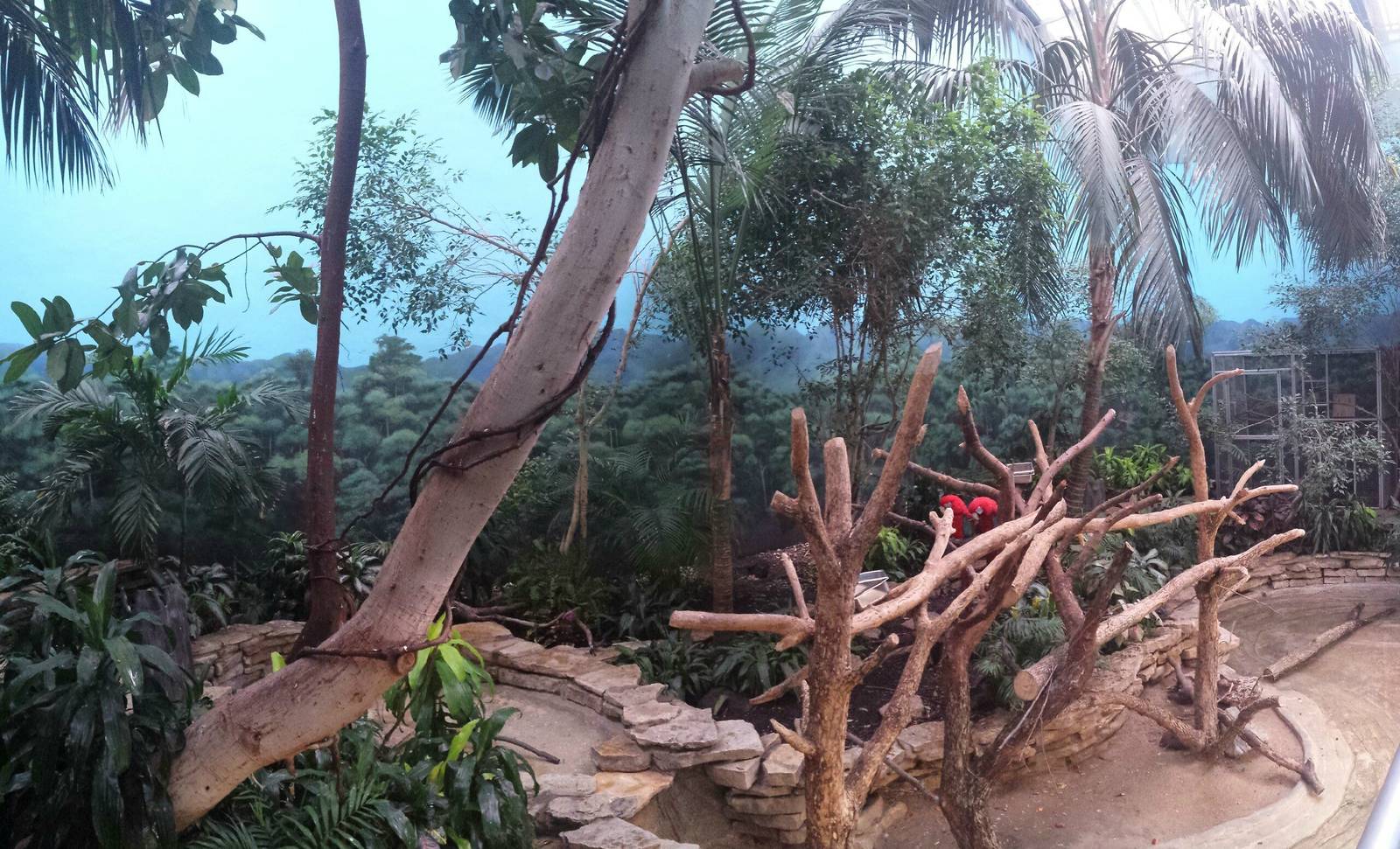 Reptiles + Birds - Walk-through Atrium