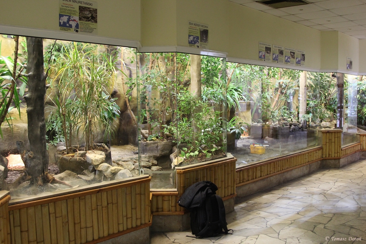 Reptiles House - Turtles sections
